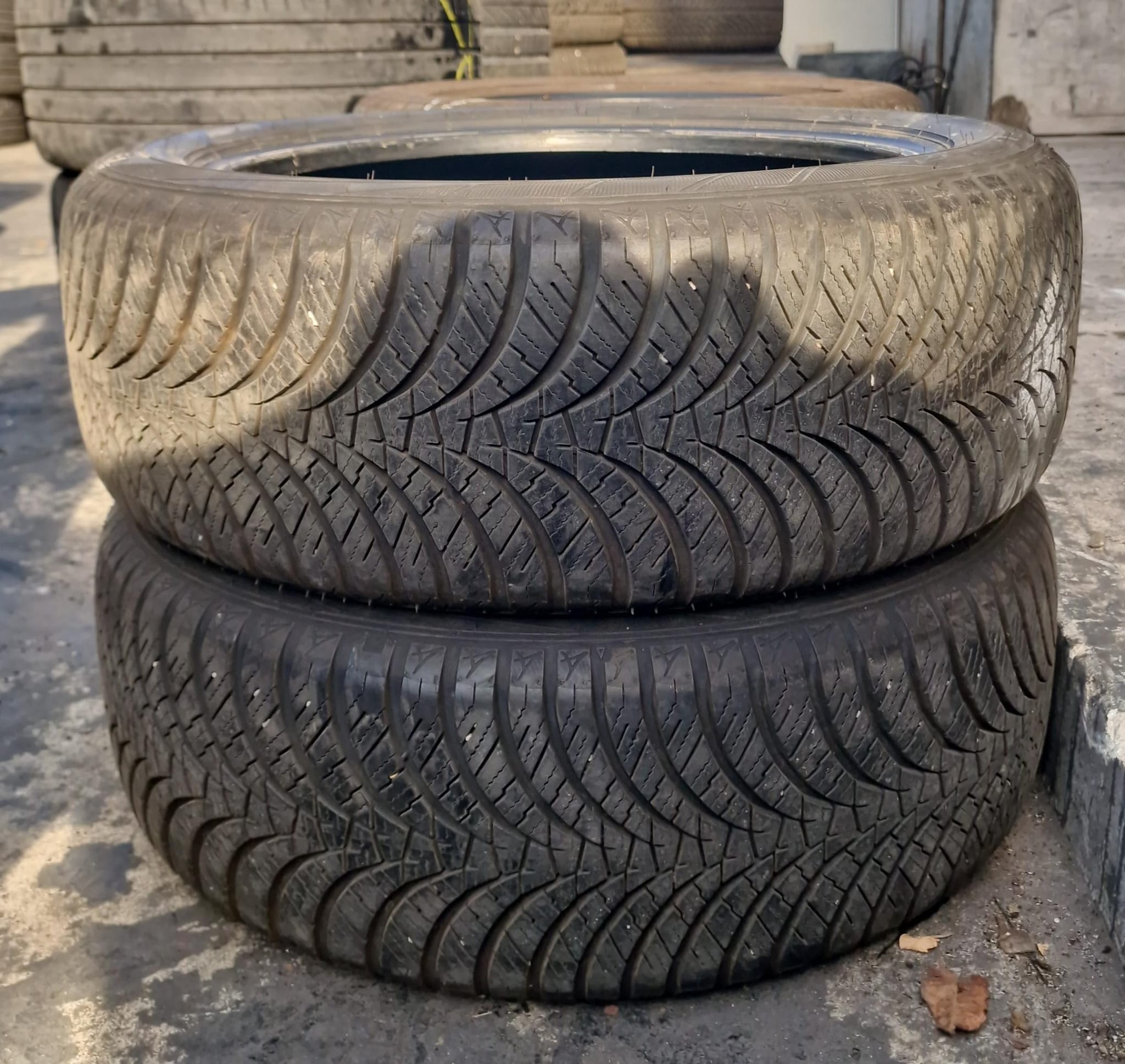 Falken EURO ALL SEASON AS210